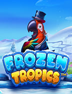 ง่ายๆ กับการทดลอง เล่น slot roma ให้สนุกและคุ้มค่า